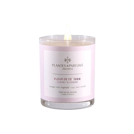 Cherry Blossom Plant Candle 180g
